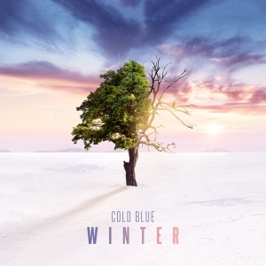 Cold Blue - Winter in der Gruppe CD / Blues,Jazz bei Bengans Skivbutik AB (3927736)