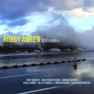 Robby Ameen - Diluvio in der Gruppe CD / Jazz bei Bengans Skivbutik AB (3928524)