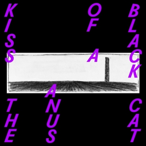 Kiss The Anus Of A Black Cat - If The Sky Falls, We Shall Catch Larks in der Gruppe VINYL / Pop-Rock,Övrigt bei Bengans Skivbutik AB (3928906)