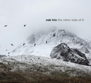 Nak Trio - Other Side Of If in der Gruppe CD / Jazz bei Bengans Skivbutik AB (3928949)