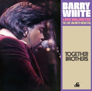 Barry White - Together Brothers in der Gruppe CD / RnB-Soul bei Bengans Skivbutik AB (3930010)