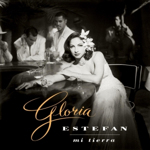 Gloria Estefan - Mi Tierra in der Gruppe UNSERE TIPPS / Weihnachtsgeschenktipp Vinyl bei Bengans Skivbutik AB (3930803)