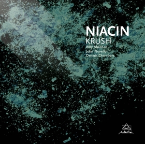 Niacin - Krush in der Gruppe CD / Jazz,Pop-Rock bei Bengans Skivbutik AB (3931652)