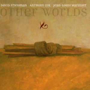 David Friedman - Other Worlds in der Gruppe CD / Jazz bei Bengans Skivbutik AB (3934119)