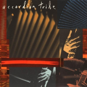 Accordion Tribe - Accordion Tribe in der Gruppe CD / Jazz bei Bengans Skivbutik AB (3934141)