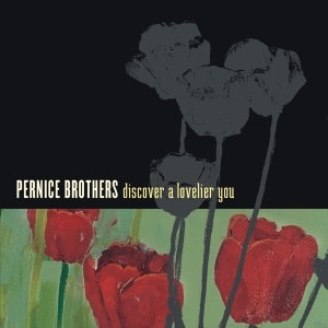 Pernice Brothers - Discover A Lovelier You in der Gruppe CD / Pop-Rock,Övrigt bei Bengans Skivbutik AB (3934897)