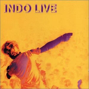 Indochine - Indo Live in der Gruppe CD / Pop-Rock bei Bengans Skivbutik AB (3935875)