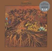 Fever Tree - For Sale (Brown Vinyl) in der Gruppe Labels / Woah Dad / Dold_tillfall bei Bengans Skivbutik AB (3945592)