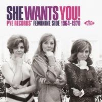 Various Artists - She Wants You! Pye Records' Feminin in der Gruppe CD / Pop-Rock bei Bengans Skivbutik AB (3968243)