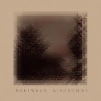 Gusset Matthias - Inbetween Birdsongs in der Gruppe VINYL / Elektroniskt,World Music bei Bengans Skivbutik AB (3971135)