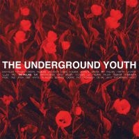 Underground Youth - Falling in der Gruppe UNSERE TIPPS / Weihnachtsgeschenktipp Vinyl bei Bengans Skivbutik AB (3975088)