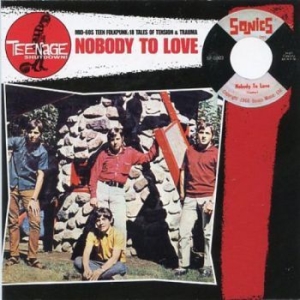 Various Artists - Teenage Shut Down - Nobody To Love in der Gruppe VINYL bei Bengans Skivbutik AB (3977700)