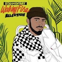 Walshy Fire - Presents Riddimentary Selection in der Gruppe VINYL / Reggae bei Bengans Skivbutik AB (3978880)