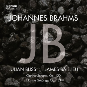 Johannes Brahms - Clarinet Sonatas Op. 120 & 4 Ernste in der Gruppe UNSERE TIPPS / Weihnachtsgeschenktipp CD bei Bengans Skivbutik AB (3988827)