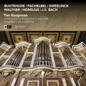 Ton Koopman - At The Zacharias Hildebrandt Organ (1726) in der Gruppe CD / Klassiskt,Övrigt bei Bengans Skivbutik AB (4001149)