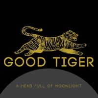 Good Tiger - A Head Full Of Moonlight in der Gruppe CD / Hårdrock,Pop-Rock bei Bengans Skivbutik AB (4005731)