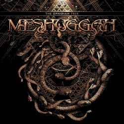 Meshuggah - The Ophidian Trek in der Gruppe UNSERE TIPPS / Weihnachtsgeschenktipp Vinyl bei Bengans Skivbutik AB (4016956)