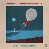 Cavanagh-Brierley Joshua - Joy In Bewilderment in der Gruppe CD / Jazz bei Bengans Skivbutik AB (4020583)