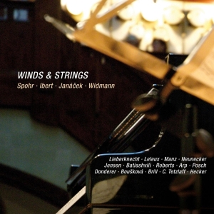 Spohr - Winds & Strings in der Gruppe CD / Klassiskt,Övrigt bei Bengans Skivbutik AB (4046242)