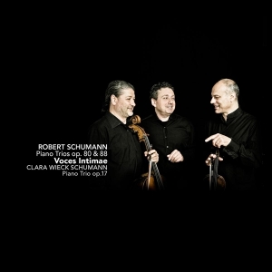 Voces Intimae - Piano Trios Op.80 & 88 in der Gruppe CD / Klassiskt,Övrigt bei Bengans Skivbutik AB (4047188)