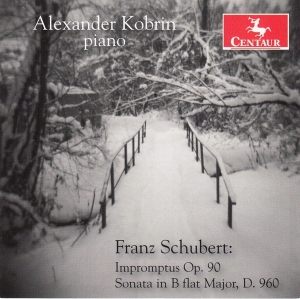 Alexander Kobrin - Franz Schubert in der Gruppe CD / Klassiskt,Övrigt bei Bengans Skivbutik AB (4048916)