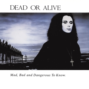 Dead Or Alive - Mad, Bad And Dangerous To Know in der Gruppe UNSERE TIPPS / Weihnachtsgeschenktipp CD bei Bengans Skivbutik AB (4054567)