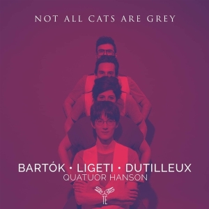 Quatuor Hanson - Not All Cats Are Grey At Night in der Gruppe CD / Klassiskt,Övrigt bei Bengans Skivbutik AB (4056011)