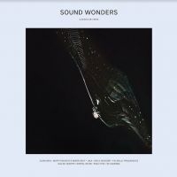 Various Artists - Sound Wonders in der Gruppe VINYL / Pop-Rock bei Bengans Skivbutik AB (4056791)