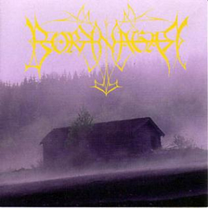 Borknagar - Borknagar (25Th Anniversary Re-Issue 2021) in der Gruppe UNSERE TIPPS / Weihnachtsgeschenktipp CD bei Bengans Skivbutik AB (4064250)