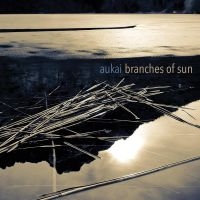 Aukai - Branches Of Sun in der Gruppe VINYL / Elektroniskt,World Music bei Bengans Skivbutik AB (4065145)