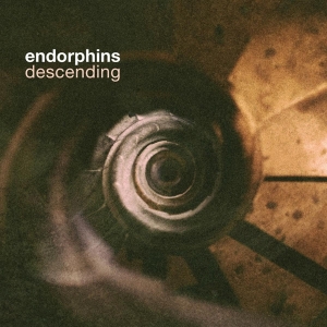 Endorphins - Descending in der Gruppe UNSERE TIPPS / Weihnachtsgeschenktipp CD bei Bengans Skivbutik AB (4067340)