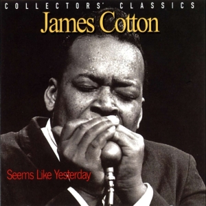 Cotton James - Seems Like Yesterday in der Gruppe CD / Blues,Jazz bei Bengans Skivbutik AB (4070120)