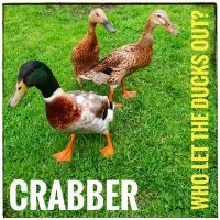 Crabber - Who Let The Ducks Out? in der Gruppe CD / Pop-Rock bei Bengans Skivbutik AB (4077055)