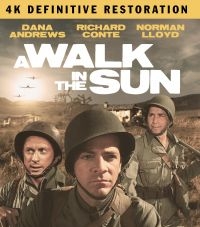 A Walk In The Sun: The Definitive R - Film (2Br) in der Gruppe MUSIK / Musik Blu-Ray / Film-Musikal bei Bengans Skivbutik AB (4077109)