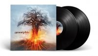 Amorphis - Skyforger (Black Vinyl 2 Lp) in der Gruppe UNSERE TIPPS / Weihnachtsgeschenktipp Vinyl bei Bengans Skivbutik AB (4077440)