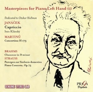 V/A - Masterpieces For Piano Left Hand 2 in der Gruppe CD / Klassiskt,Övrigt bei Bengans Skivbutik AB (4080430)