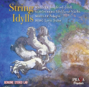 V/A - String Idylls in der Gruppe CD / Klassiskt,Övrigt bei Bengans Skivbutik AB (4080440)