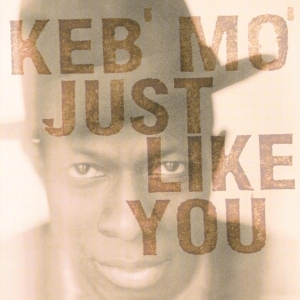 Keb  Mo - Just Like You in der Gruppe UNSERE TIPPS / Weihnachtsgeschenktipp Vinyl bei Bengans Skivbutik AB (4088406)