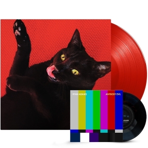 Ryan Adams - Big Colors in der Gruppe VINYL / Pop-Rock bei Bengans Skivbutik AB (4098721)