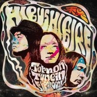 HIBUSHIBIRE - TURN ON TUNE IN FREAK OUT! in der Gruppe VINYL / Pop-Rock bei Bengans Skivbutik AB (4100155)