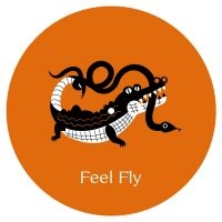 Feel Fly - Cosmo Cosmo in der Gruppe VINYL / Dance-Techno bei Bengans Skivbutik AB (4101517)