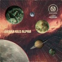 Melbourne Ska Orchestra - One Year Of Ska in der Gruppe CD / Reggae bei Bengans Skivbutik AB (4110159)