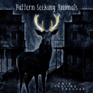 Pattern-Seeking Animals - Only Passing Through in der Gruppe UNSERE TIPPS / Weihnachtsgeschenktipp Vinyl bei Bengans Skivbutik AB (4132969)