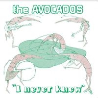 Avocados - I Never Knew in der Gruppe VINYL / Pop-Rock bei Bengans Skivbutik AB (4143142)