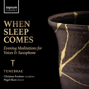 Traditional Hildegard Von Bingen - When Sleep Comes - Evening Meditati in der Gruppe Externt_Lager / Naxoslager bei Bengans Skivbutik AB (4145990)