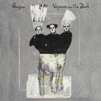 Barzin - Voyeurs In The Dark in der Gruppe VINYL / Reggae bei Bengans Skivbutik AB (4150708)