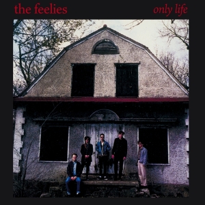 Feelies - Only Life in der Gruppe UNSERE TIPPS / Weihnachtsgeschenktipp CD bei Bengans Skivbutik AB (4154537)