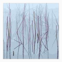 OLHAVA - FROZEN BLOOM in der Gruppe CD / Hårdrock bei Bengans Skivbutik AB (4161292)