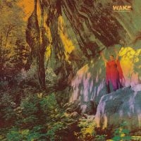 Wake - Thought Form Descent (Digipack) in der Gruppe CD / Hårdrock bei Bengans Skivbutik AB (4162425)