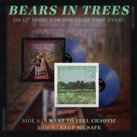 Bears In Trees - Keep Me Safe / I Want To Feel Chaot in der Gruppe VINYL / Pop-Rock bei Bengans Skivbutik AB (4163043)